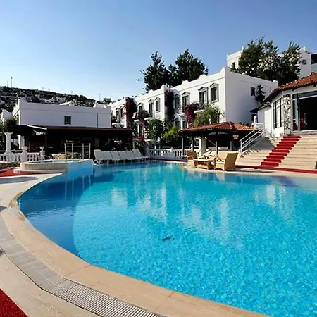 Maison 48 4* غومْبيت