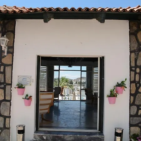 Maison 48 4* غومْبيت